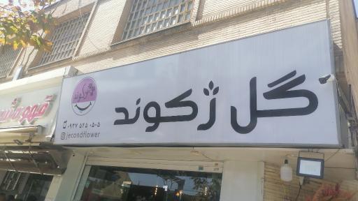 عکس گل فروشی ژکوند 