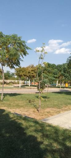 عکس بوستان نیایش