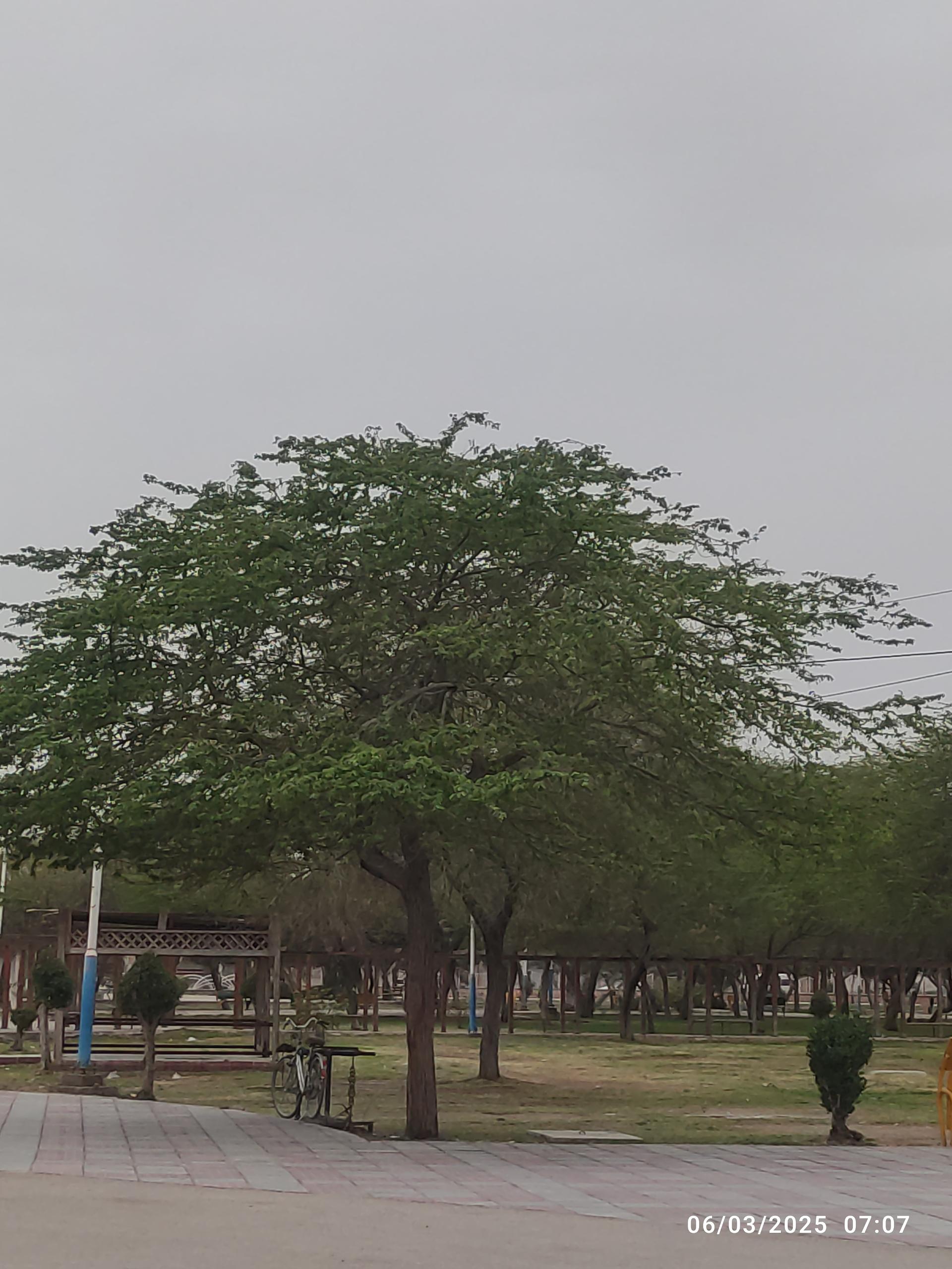 عکس پارک صنایع پتروشیمی فردوسی