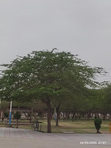 عکس پارک صنایع پتروشیمی فردوسی