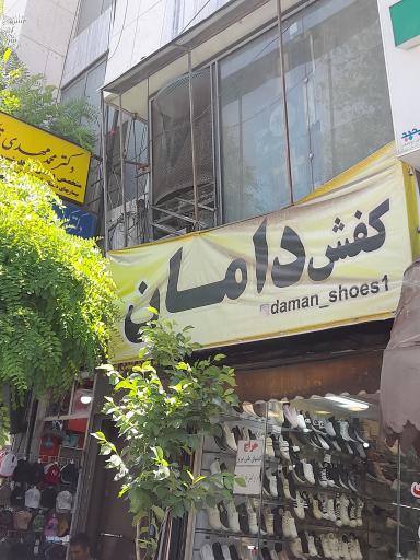 عکس کفش دامان