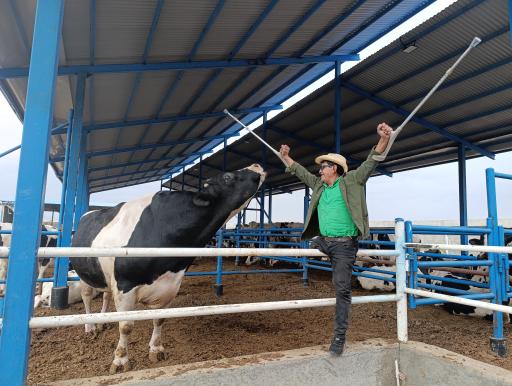 عکس گاوداری غلامی