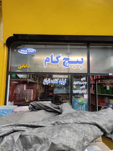 پیچ گام