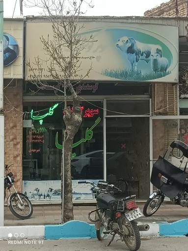 عکس سوپر گوشت گلپا 1