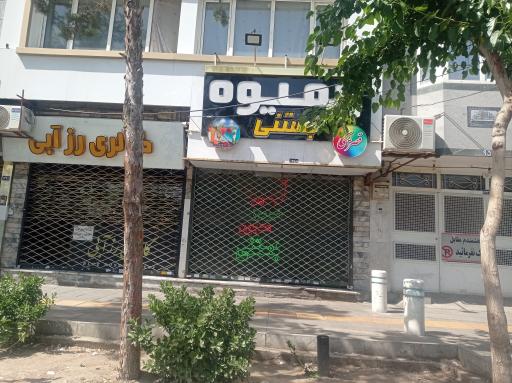 عکس گالری رز آبی