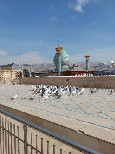 عکس کبوترخانه حرم شاهچراغ
