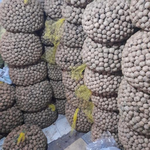 عکس خشکبار زارعی 