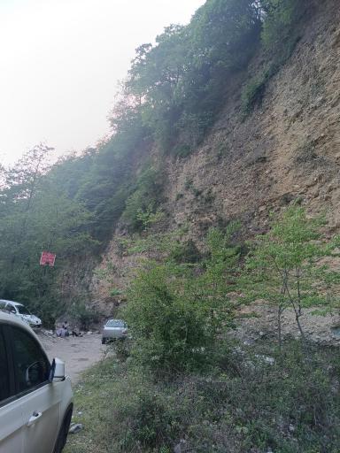 عکس منطقه جنگلی خیرود