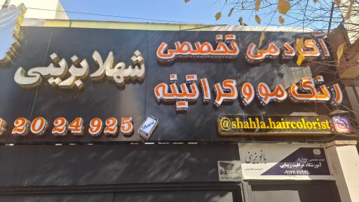 آکادمی رنگ و لایت شهلا بزینی