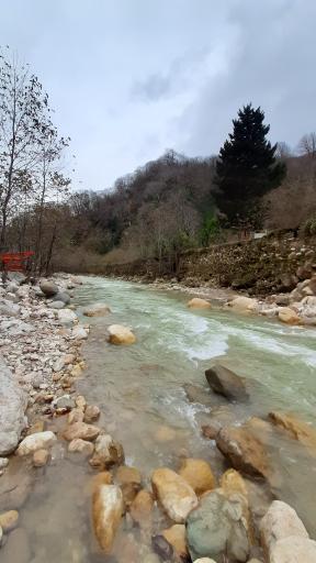 عکس منطقه جنگلی خیرود