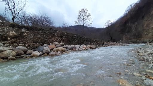 عکس منطقه جنگلی خیرود