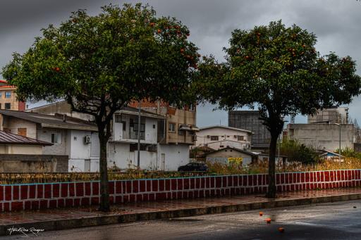 عکس فریدونکنار