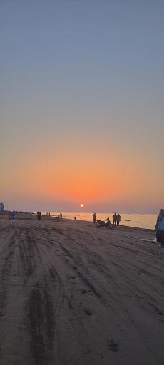 عکس فریدونکنار