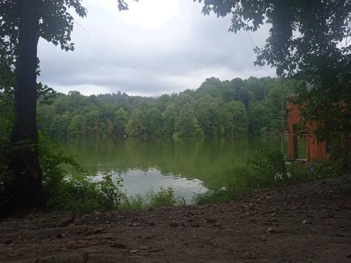 عکس فریدونکنار