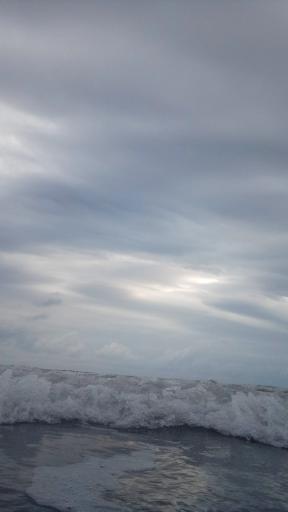 عکس فریدونکنار