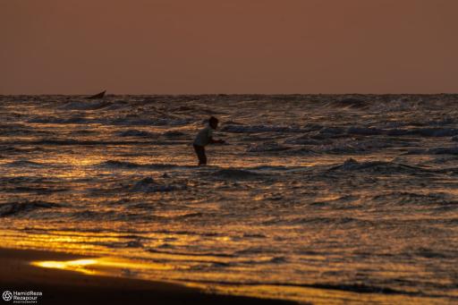 عکس فریدونکنار