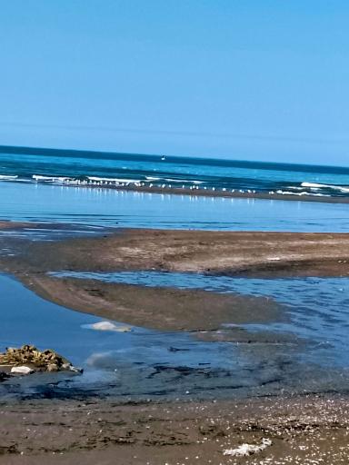 عکس فریدونکنار