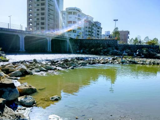 عکس فریدونکنار