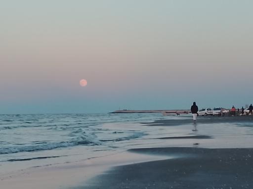 عکس فریدونکنار