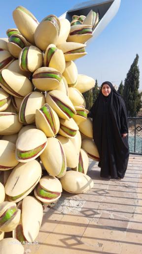 عکس میدان پسته دامغان