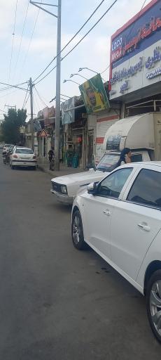 عکس لوکومبیل محافظ اتومبیل
