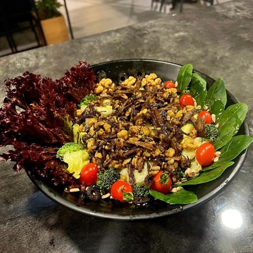 عکس کافه فست فود پتوس