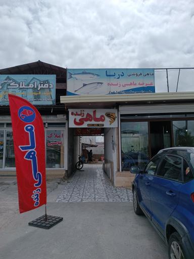 عکس ماهی فروشی دریا (عرضه زنده)