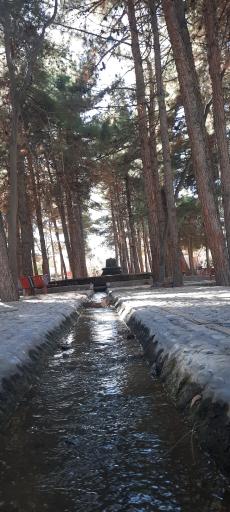 عکس پارک آبشار