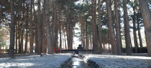 عکس پارک آبشار