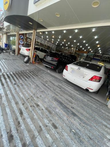 عکس اتو سرویس اقای روغن