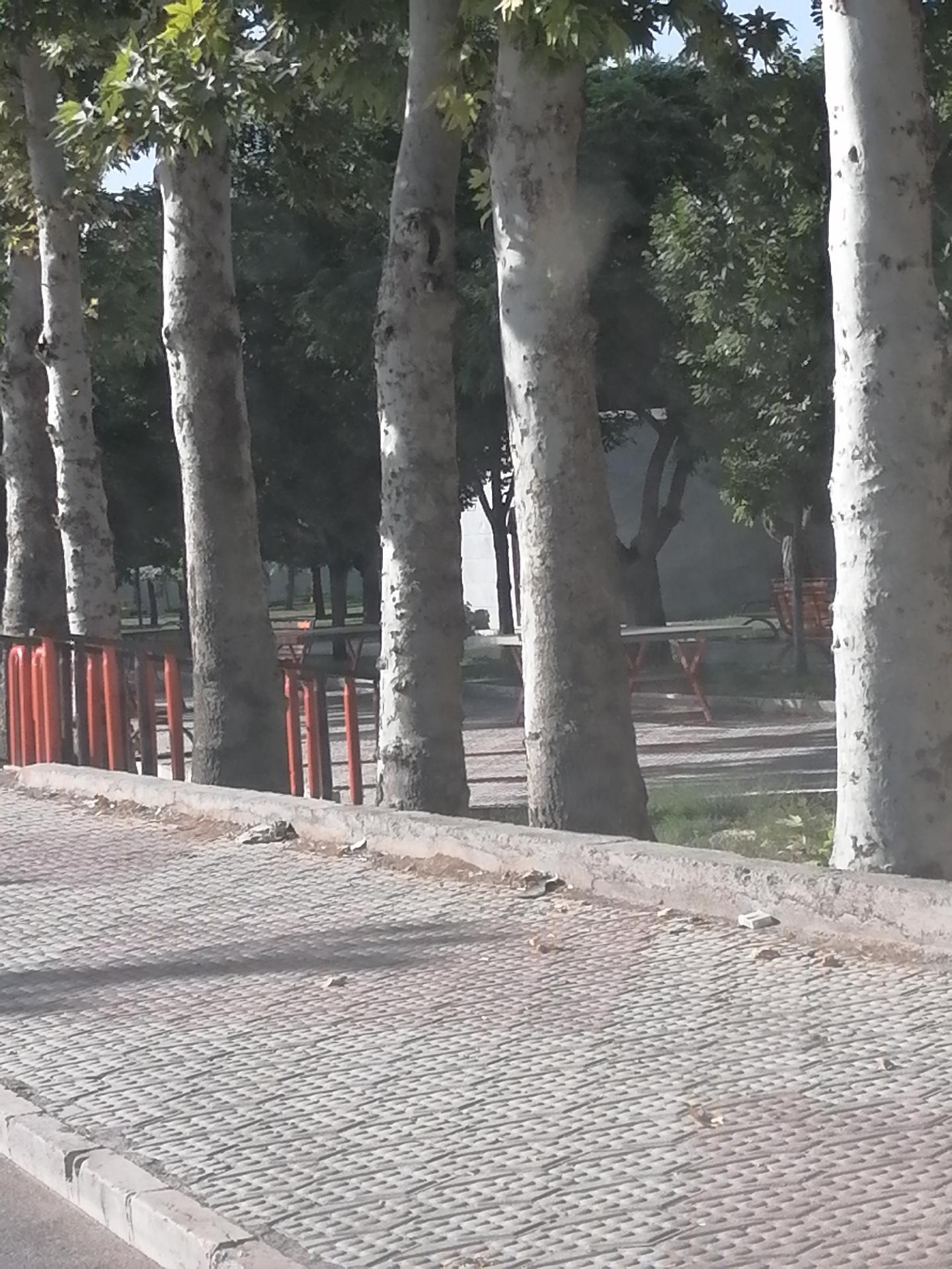 عکس سرویس بهداشتی