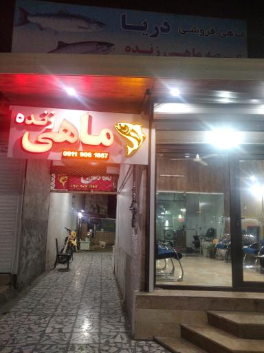 عکس ماهی فروشی دریا (عرضه زنده)