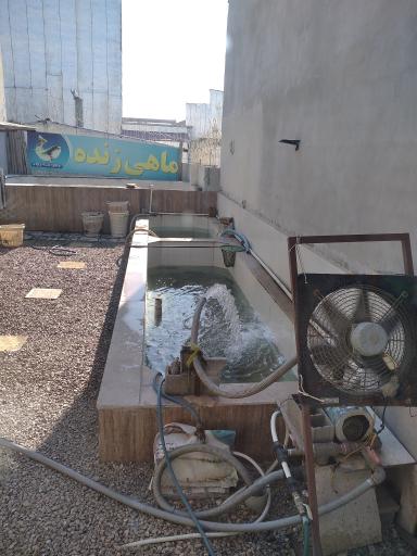 عکس ماهی فروشی دریا (عرضه زنده)