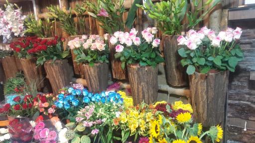 عکس گلفرروشی  میثم کاکاوند