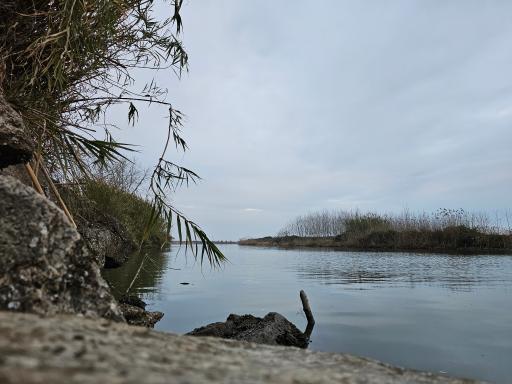 عکس جزیره فلامینگو