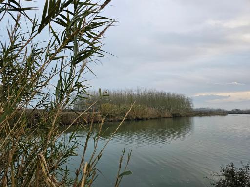 عکس جزیره فلامینگو