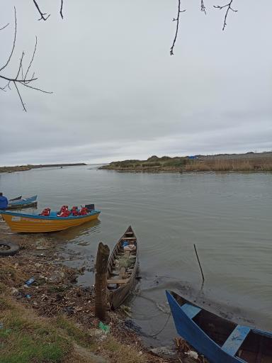 عکس جزیره فلامینگو