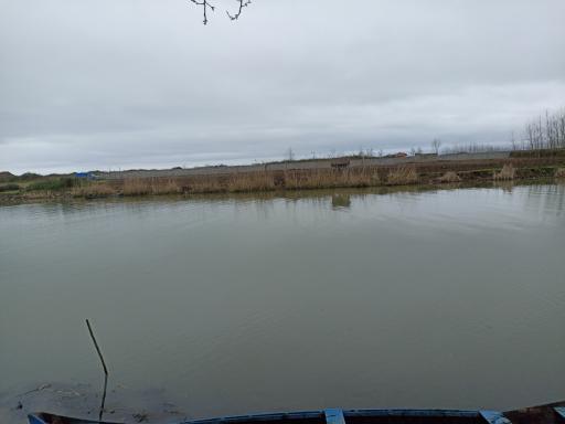 عکس جزیره فلامینگو