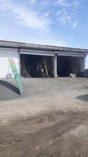 عکس نهالستان مجتبی