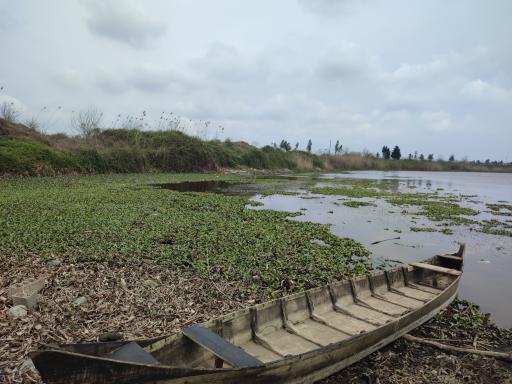 عکس جزیره فلامینگو