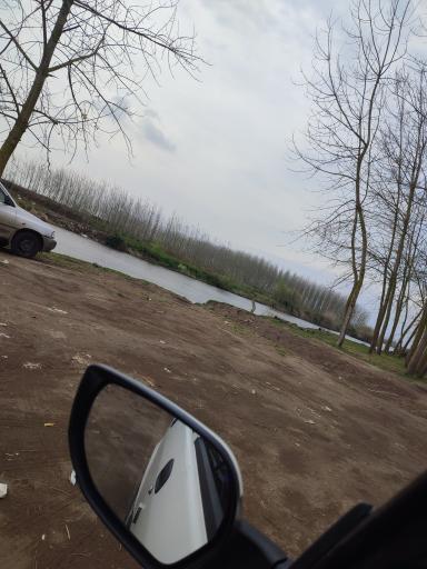 عکس جزیره فلامینگو