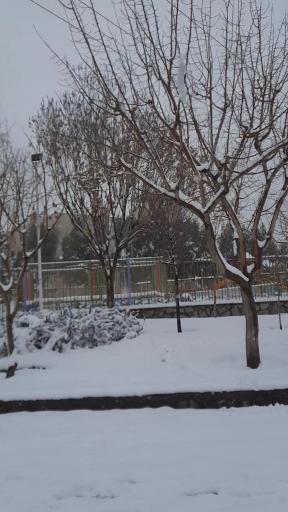 عکس بوستان گلباران