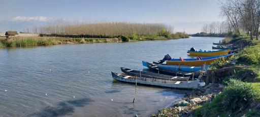 عکس جزیره فلامینگو