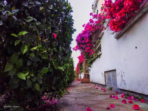 عکس مجتمع مسکونی نسیم دریا