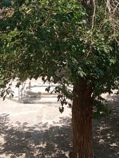 عکس مدرسه علمیه عباس قلی خان