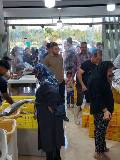 ماهی و میگو ناخدا عباسماه