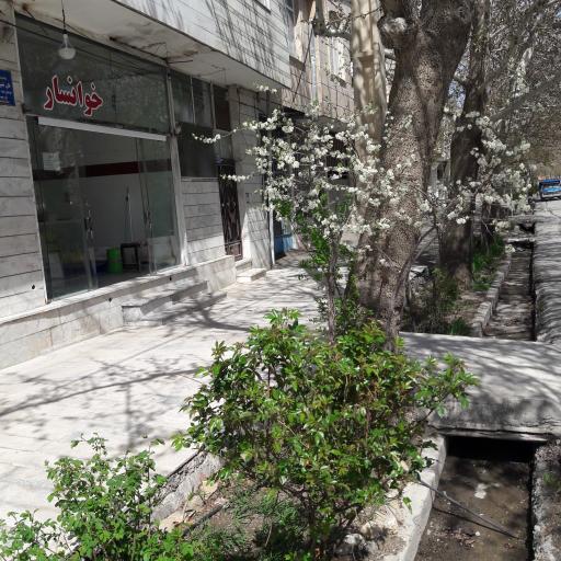 عکس نانوایی محمدی پور