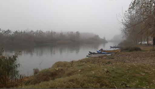 عکس جزیره فلامینگو