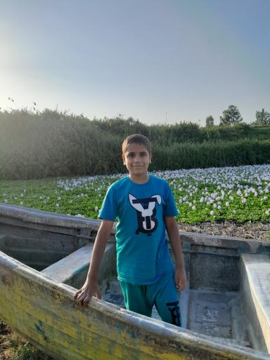 عکس جزیره فلامینگو