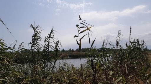 عکس جزیره فلامینگو